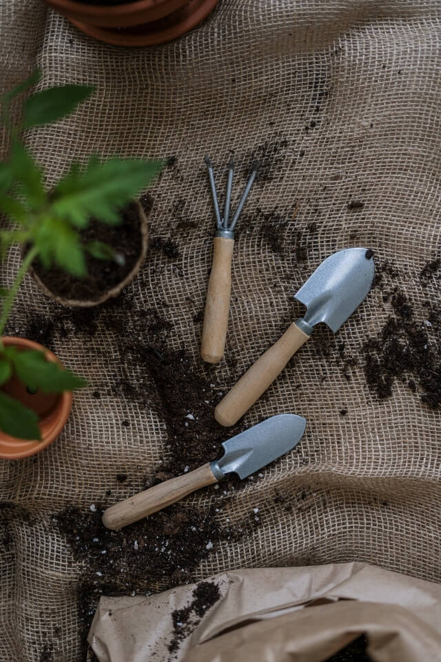 Garden Maintenance