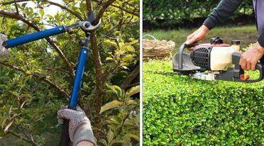 Best Garden Maintenance in Dubai​