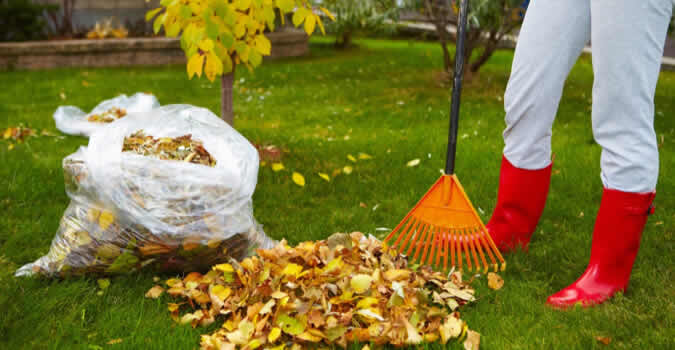 Garden Cleaning Services in Dubai​